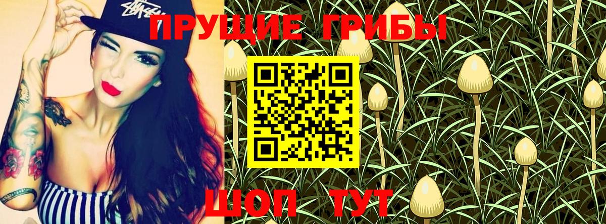 Псилоцибиновые грибы MAGIC MUSHROOMS  Галлюциногенные грибы MAGIC MUSHROOMS  Санкт-Петербург  наркота  Вход с VPN 