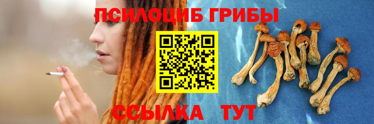 Галлюциногенные грибы GOLDEN TEACHER Санкт-Петербург